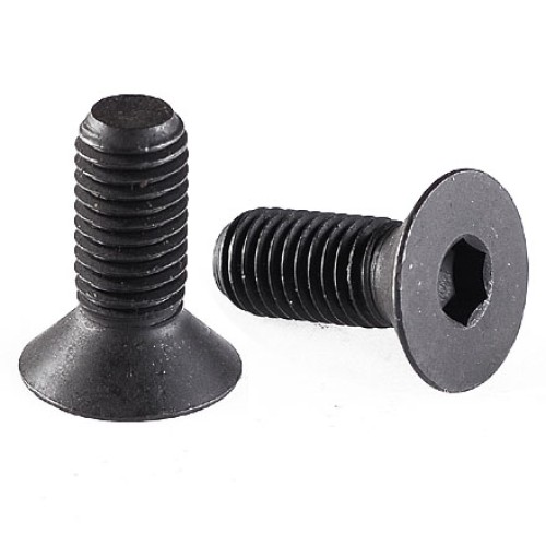 Countersunk head screws